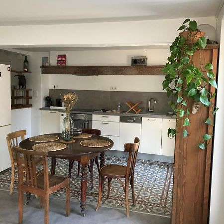 Appartement Climatise Avec Terrasse カルカソンヌ エクステリア 写真
